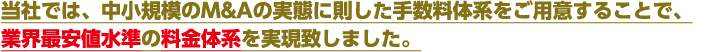 当社では、中小規模のM&Aを促進するための手数料体系をご用意することで、業界最安値水準の料金体系を実現致しました。